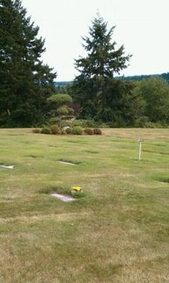 Forest Lawn Cemetery