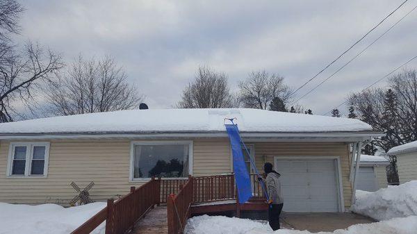 True D'sign Landscaping LLC