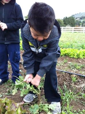 The Sandlot Daycare and Preschool