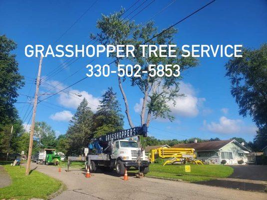 Grasshoppers Tree Service