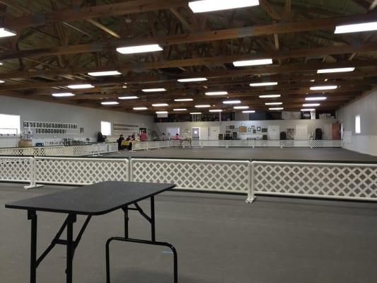 Dog Training Club of Cu