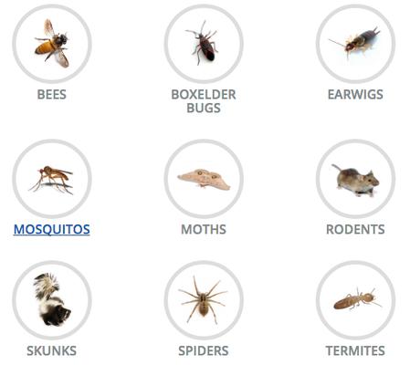 Universal Pest Control