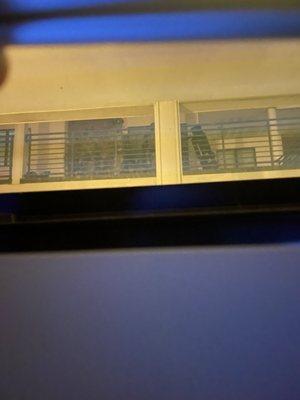 Austin Police Department