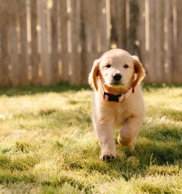 Amaze Me Photography