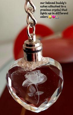 Crystal rose heart with our lil buddies ashes