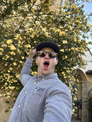 Brave Pest Solutions