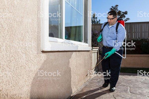 Care 4 Pest Services