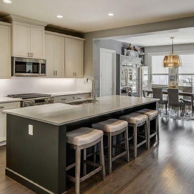 Chicago Home ReVision