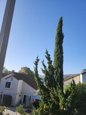 Jodi's Notary Public