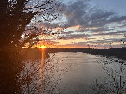 Rita Bishop - Diamond Realty & Properties