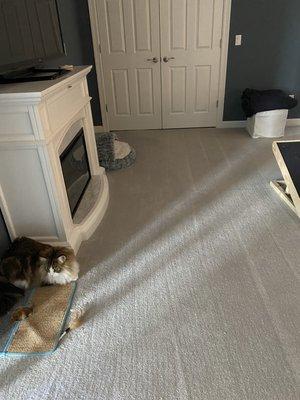 Best Hands Cleaning & Janitorial Services