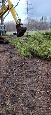 Osgood Property Services