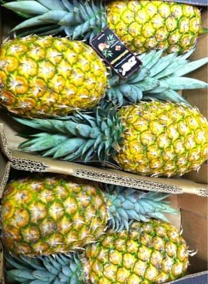 Bountiful Baskets Food Co-op