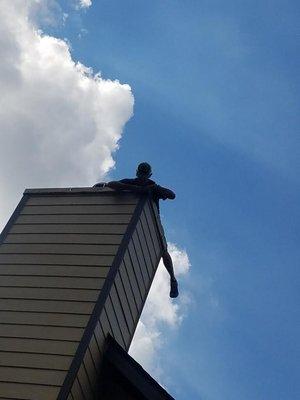 Natural Roots Pest Control and Wildlife Removal