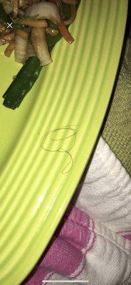 Yummy Chinese Restaurant