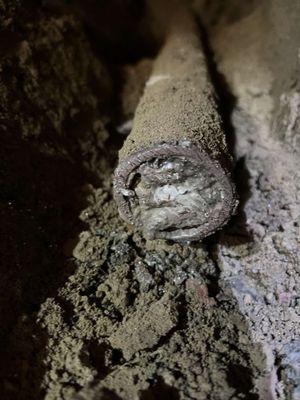 Grants Landscaping And Handywork