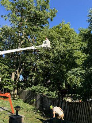 Boo's Tree & Lawn Service