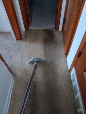 Pro Clean Carpet Cleaning
