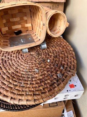 Lincoln Self Storage