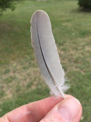 Crow Valley Campground