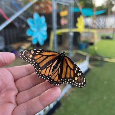 Sustainable Family Services