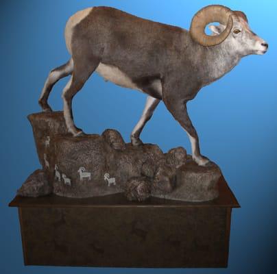 Lasting Impressions Taxidermy