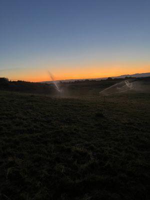 Shoemaker Lazy S Ranch