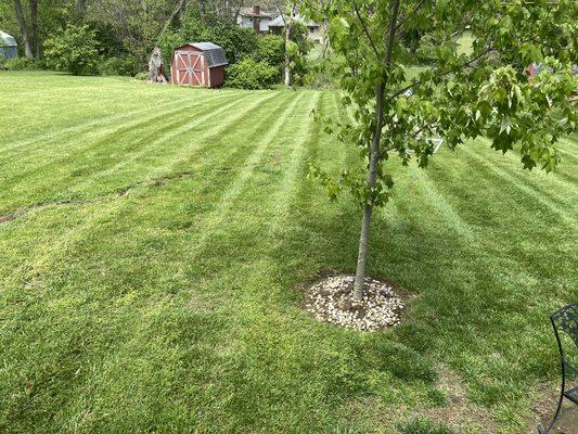 RC Landscaping & Lawncare
