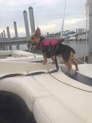 Beacon Cove Marina