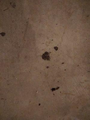 Mr Rooter Plumbing & Drain Cleaning