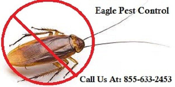 Eagle Pest Control