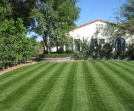 Energetic Lawn Care &Landscapes