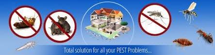 Miner's Pest Services