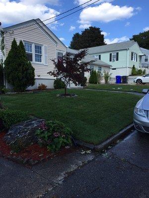 MCM Landscape Management