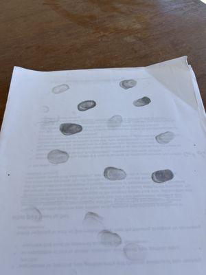 Diana Gonzalez Mobile Notary