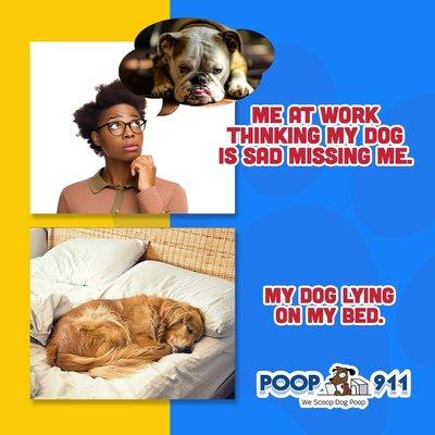 POOP 911 - River Bend