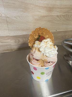 Cactus 24 Treats And More