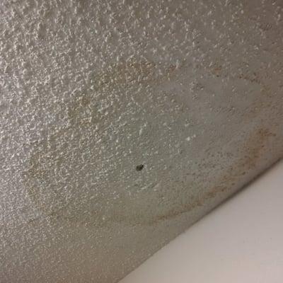 This is what I moved in to!