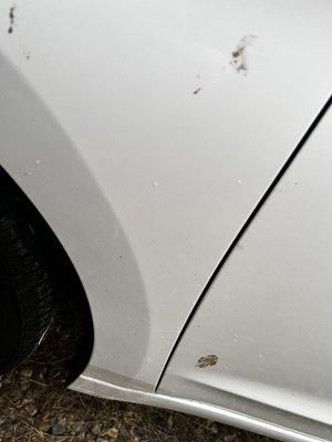 Dirt!! $20 and still dirty