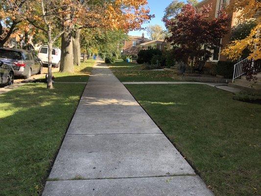 Bahena’s lawn care