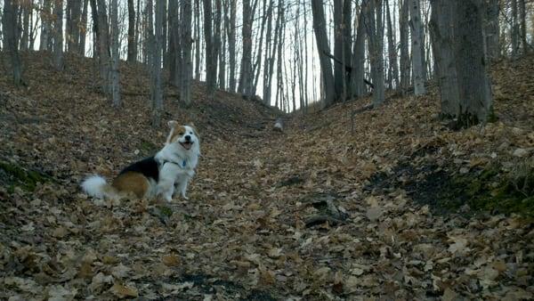State Hospital Hiking Trails