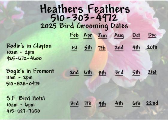 Heathers Feathers