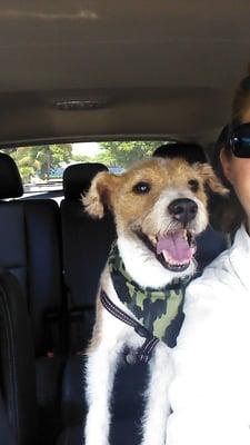 Pets Playground Grooming