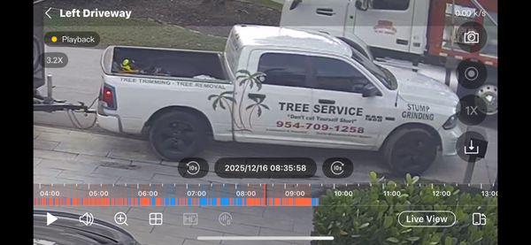 Randys Tree & Landscaping