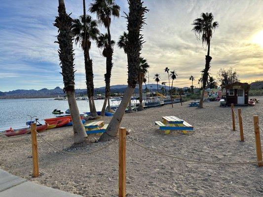 Beach Shack office and rentals