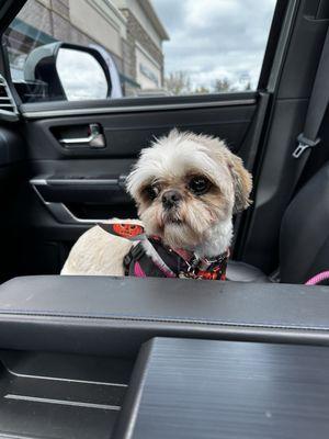 Woof Gang Bakery & Grooming Brookfield