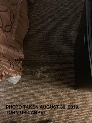 Torn up carpet