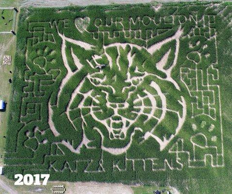 2017 maze design