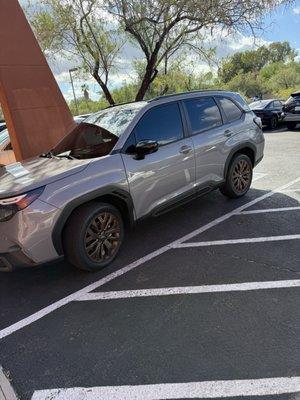 Clear View Glass And Tint