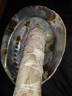 Kinnee's Gifts'n Shells